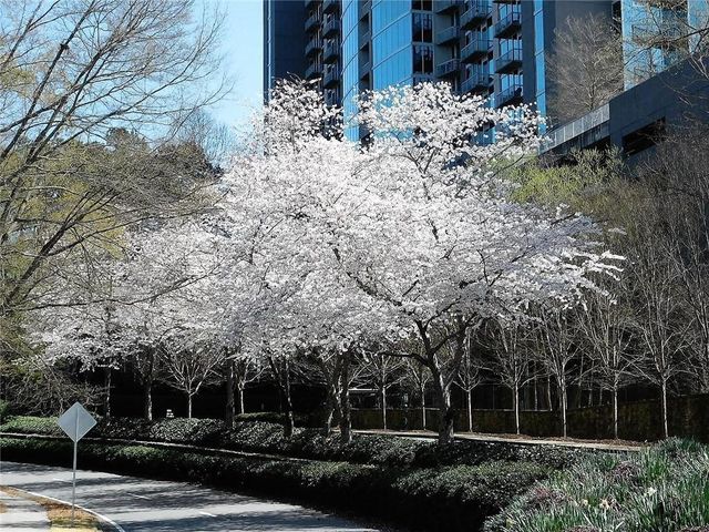3300 Windy Ridge Parkway SE 1007, Atlanta, GA 30339