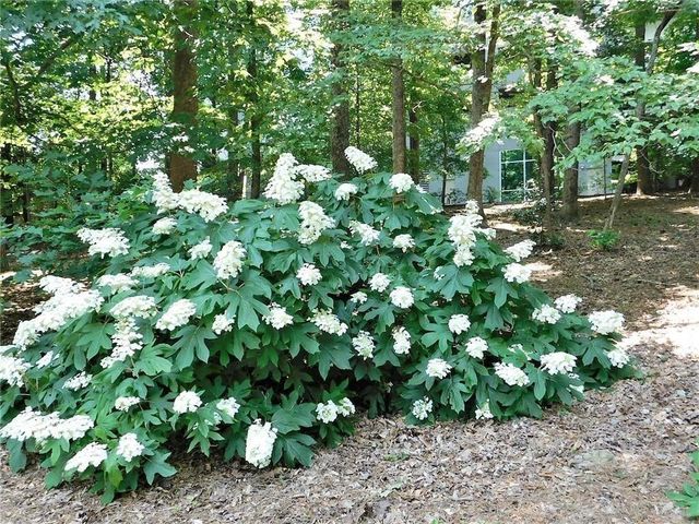 3300 Windy Ridge Parkway SE 1007, Atlanta, GA 30339