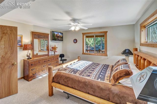 71 Durelli Drive, Woodland Park, CO 80863