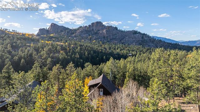 71 Durelli Drive, Woodland Park, CO 80863