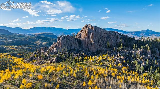 71 Durelli Drive, Woodland Park, CO 80863