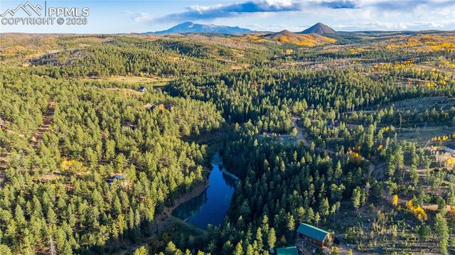 71 Durelli Drive, Woodland Park, CO 80863