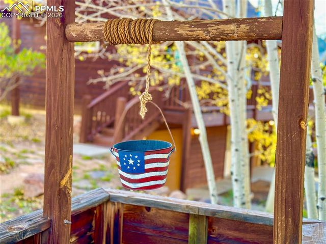 71 Durelli Drive, Woodland Park, CO 80863