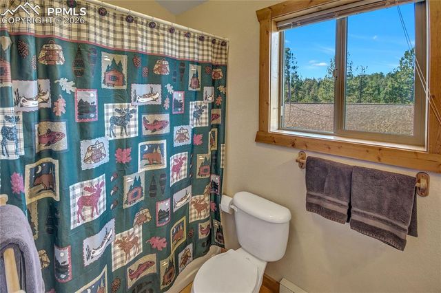 71 Durelli Drive, Woodland Park, CO 80863