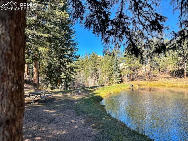 71 Durelli Drive, Woodland Park, CO 80863