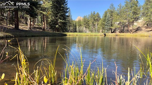 71 Durelli Drive, Woodland Park, CO 80863
