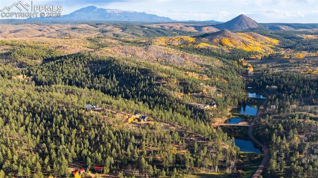 71 Durelli Drive, Woodland Park, CO 80863