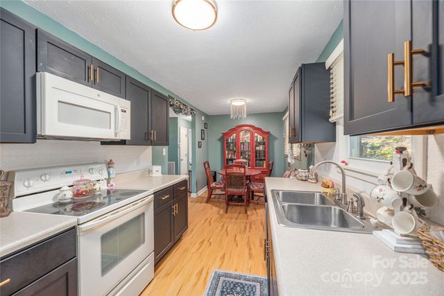 2746 Turnpike Road, Horse Shoe, NC 28742