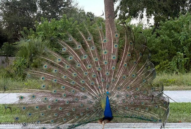 310 Taylor Avenue 3c1, Cape Canaveral, FL 32920