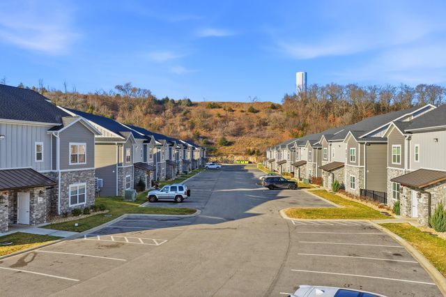 3004 North Vineyards Terrace 2, Branson, MO 65616