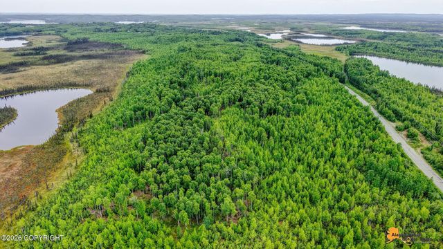 18166 W Lakes Boulevard, Big Lake, AK 99652