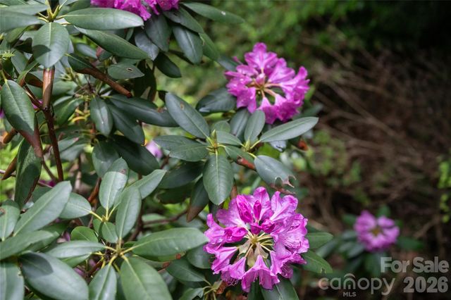 201 Covewood Trail, Asheville, NC 28805