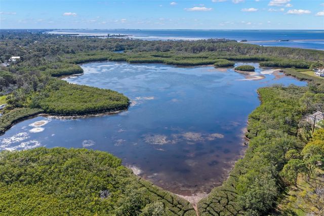 1013 CARAVEL COURT, Tarpon Springs, FL 34689