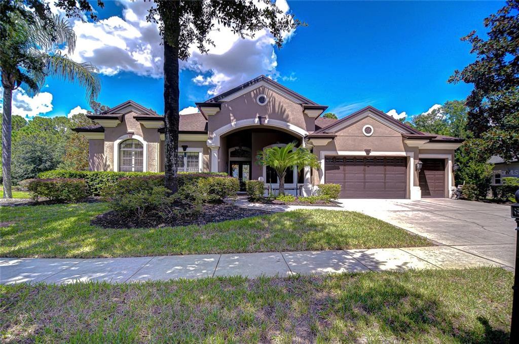 21327 LAKE VIENNA DRIVE, Land O Lakes, FL 34638