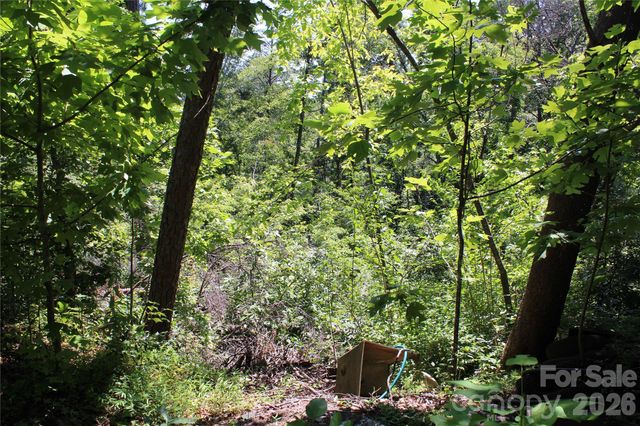 3041 Bills Creek Road, Lake Lure, NC 28746