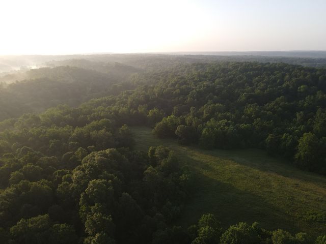 1 Shiloh Canaan Road, Palmyra, TN 37142