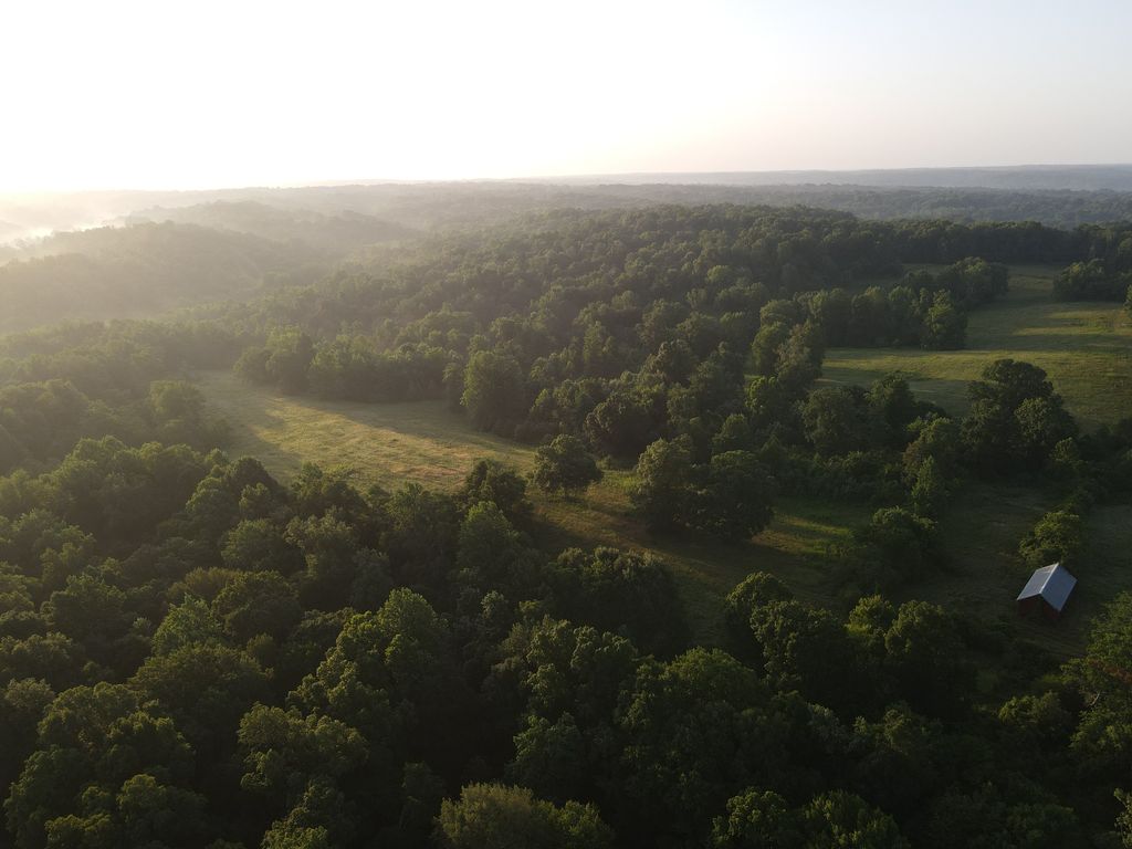 1 Shiloh Canaan Road, Palmyra, TN 37142