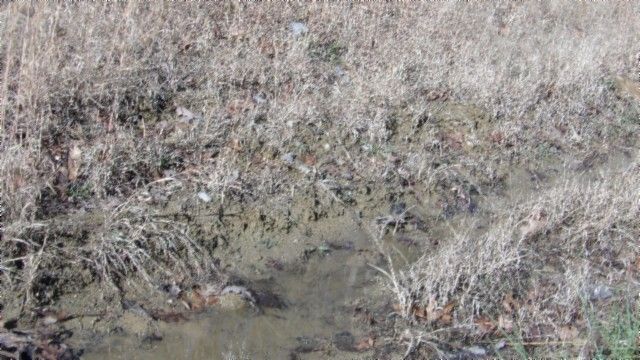 0 Cheyenne Drive, Jamestown, TN 38556