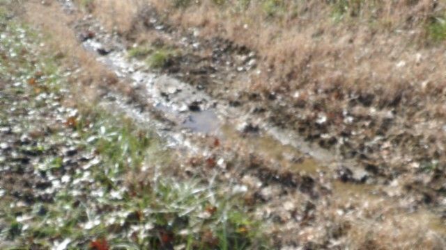 0 Cheyenne Drive, Jamestown, TN 38556