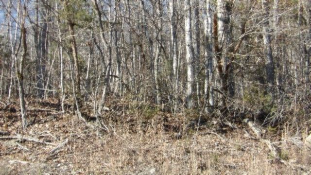 0 Cheyenne Drive, Jamestown, TN 38556