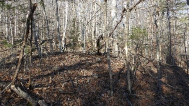 0 Cheyenne Drive, Jamestown, TN 38556