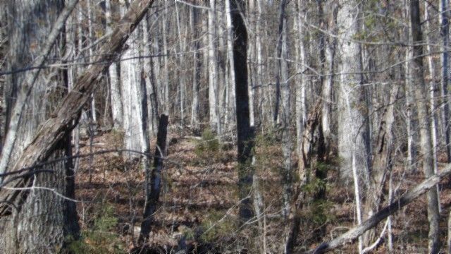 0 Cheyenne Drive, Jamestown, TN 38556