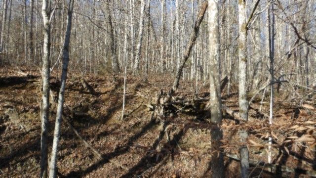 0 Cheyenne Drive, Jamestown, TN 38556