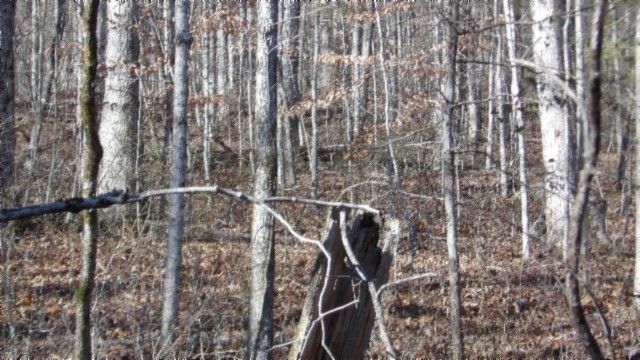 0 Cheyenne Drive, Jamestown, TN 38556