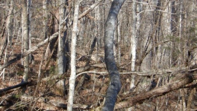 0 Cheyenne Drive, Jamestown, TN 38556