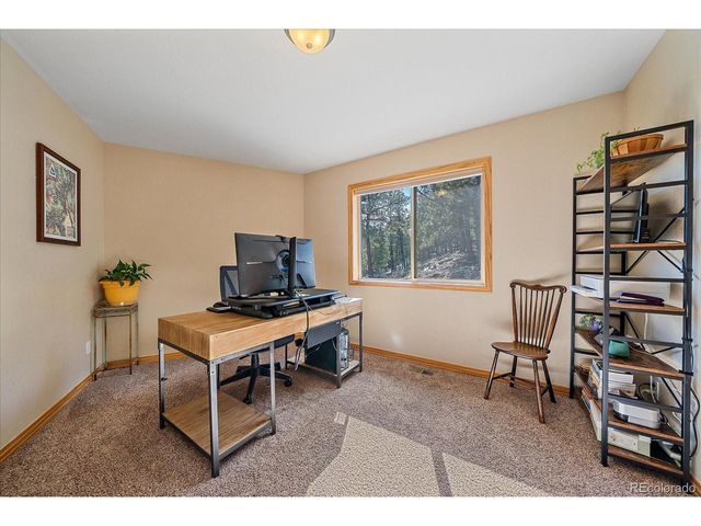 48 High View Ln, Bailey, CO 80421