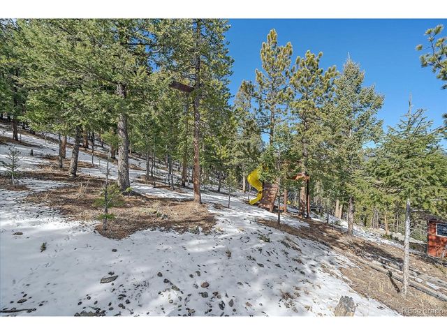 48 High View Ln, Bailey, CO 80421