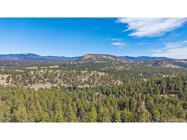 48 High View Ln, Bailey, CO 80421