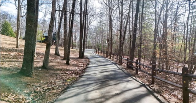 202 Shepherds Ridge Road, Morganton, GA 30560