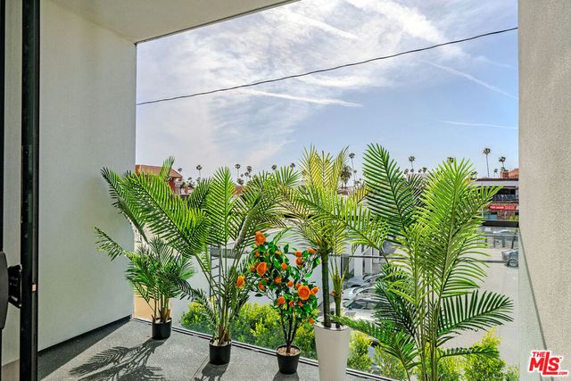 321 S Oxford Avenue 203, Los Angeles, CA 90010