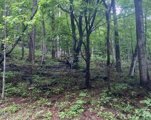 0 Sawmill RD, Bedford, VA 24523