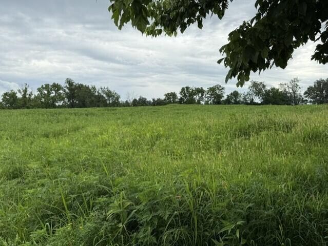 665 Lillies Ferry Road, Winchester, KY 40391