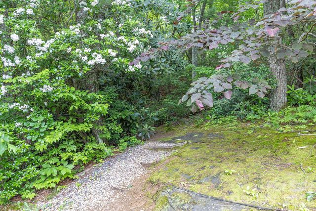 6 Grouse Terrace, Fairview, NC 28730