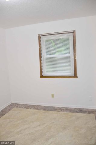 17241 Woodbine Street NW, Andover, MN 55304
