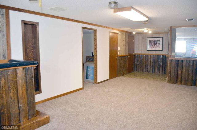 17241 Woodbine Street NW, Andover, MN 55304