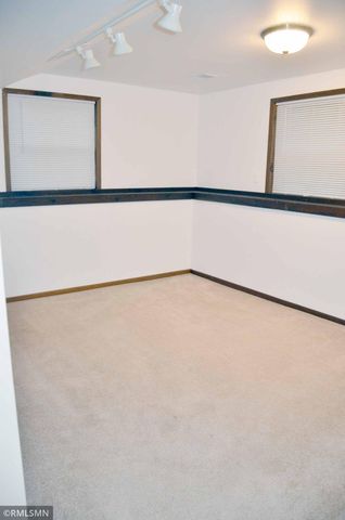 17241 Woodbine Street NW, Andover, MN 55304