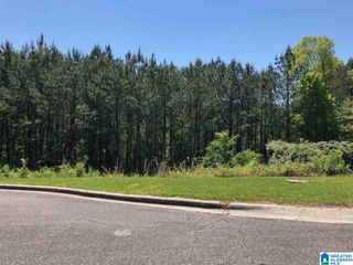 1753 BROOKVIEW TRAIL, Hoover, AL 35216