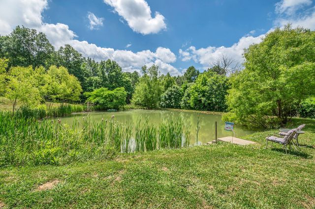 225 Kelso Smithland Rd Tract 1, Kelso, TN 37348