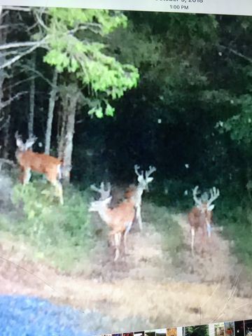 225 Kelso Smithland Rd Tract 1, Kelso, TN 37348