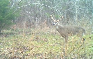 3324 County Road 3206, Dawson, TX 76639