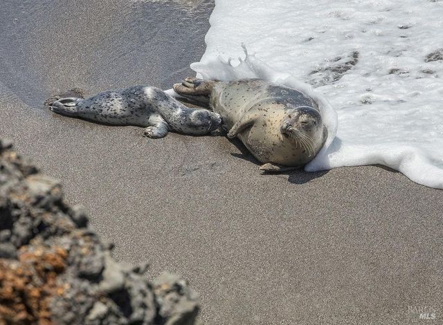 39574 Leeward Rd, The Sea Ranch, CA 95497