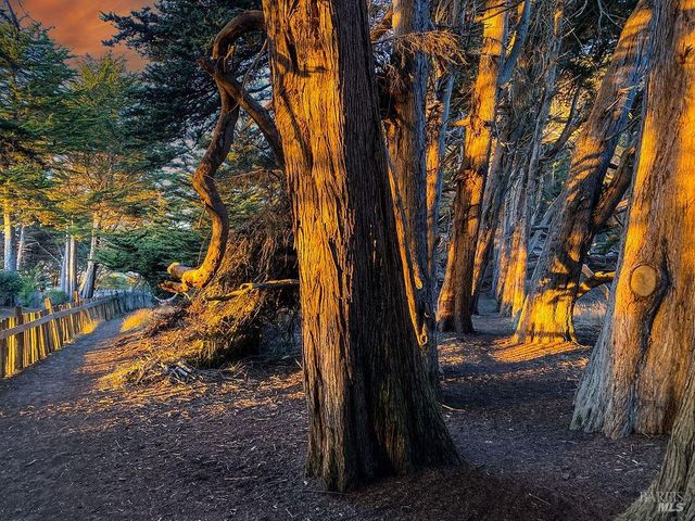 39574 Leeward Rd, The Sea Ranch, CA 95497