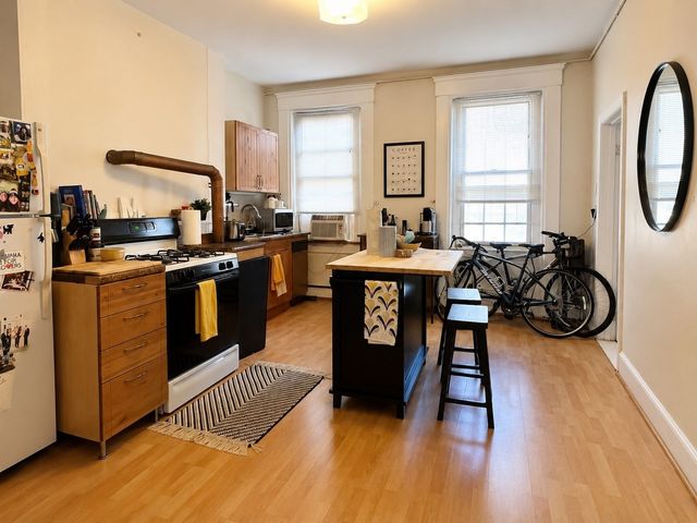 263 Shawmut Ave 2, Boston, MA 02118