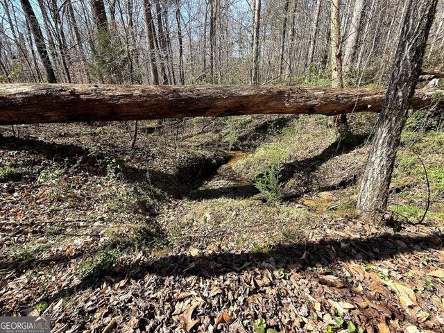 1125 Pecks Road, Dahlonega, GA 30533