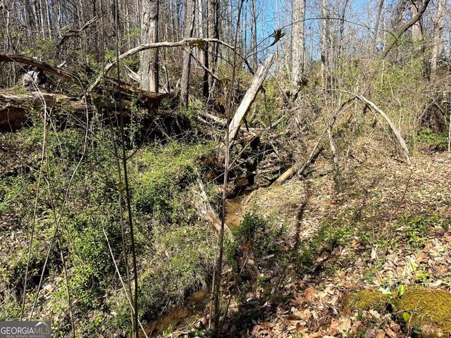 1125 Pecks Road, Dahlonega, GA 30533