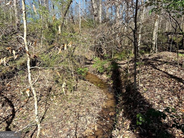 1125 Pecks Road, Dahlonega, GA 30533